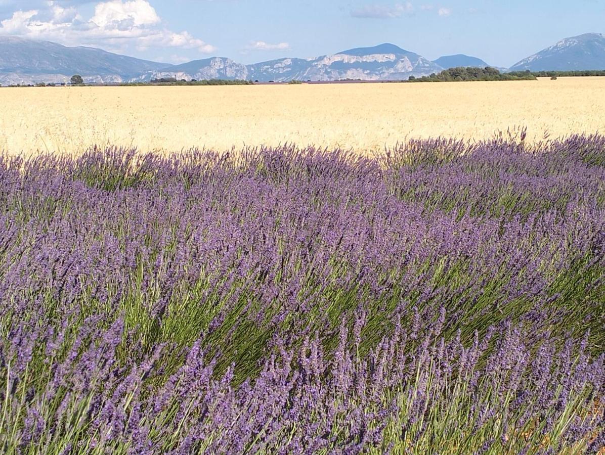 La Provence Vous Attend***!!! - 1Er Etage Digne-les-Bains Extérieur photo